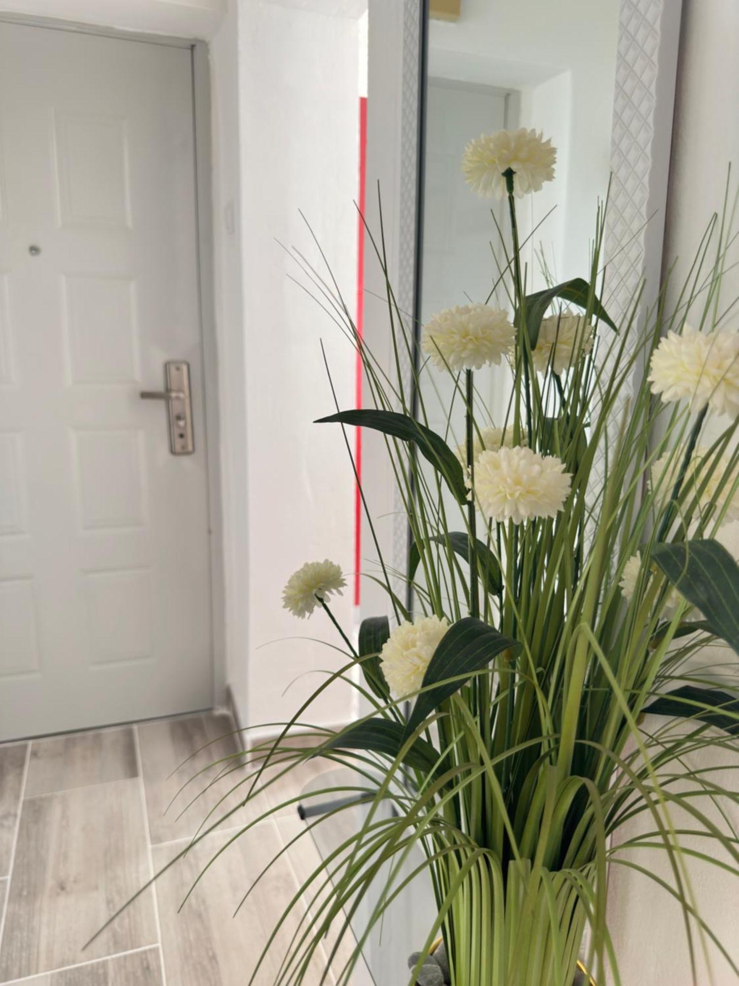 זאדאר Apartment Maky מראה חיצוני תמונה