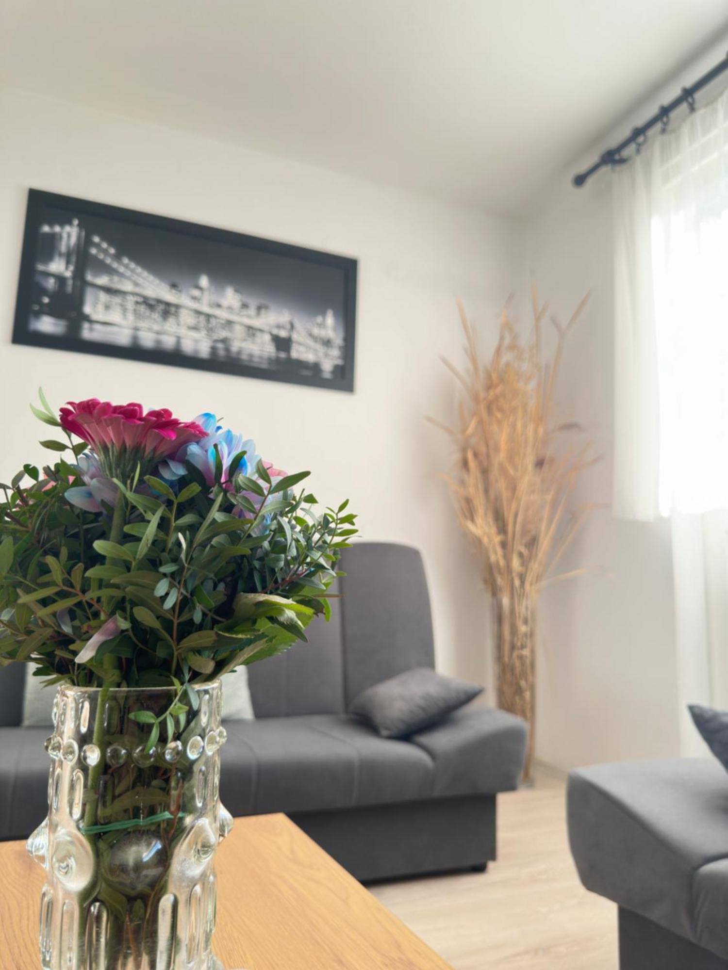 זאדאר Apartment Maky מראה חיצוני תמונה